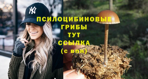 МДМА Белокуриха
