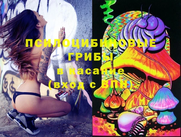 МДМА Белокуриха