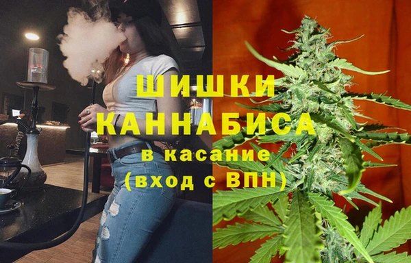 мескалин Туринск