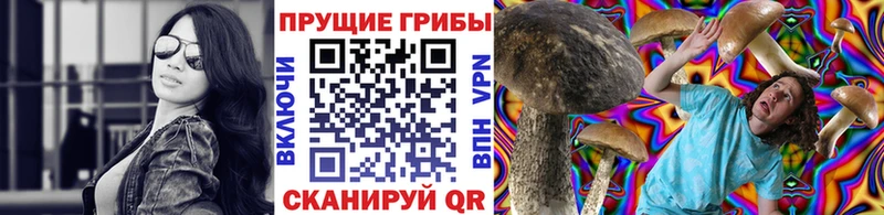 Псилоцибиновые грибы MAGIC MUSHROOMS дарнет шоп Карталы